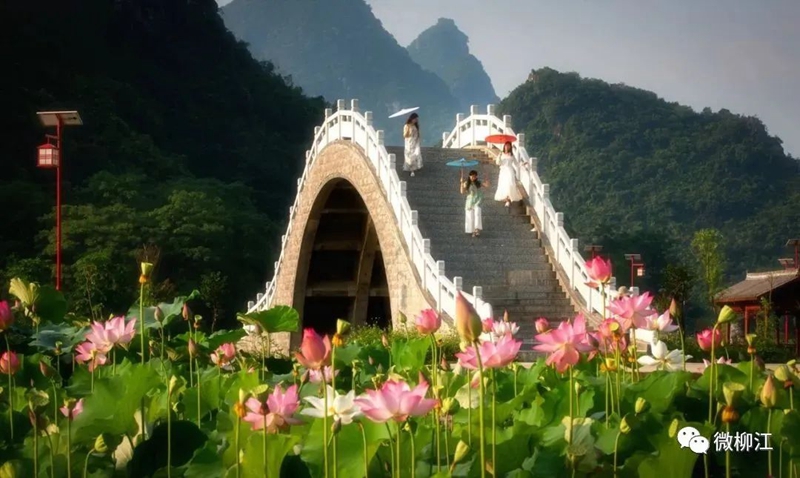 想要“詩和遠(yuǎn)方”？來，帶你走進(jìn)柳江的“美”
